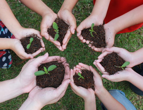 Topsoil Production